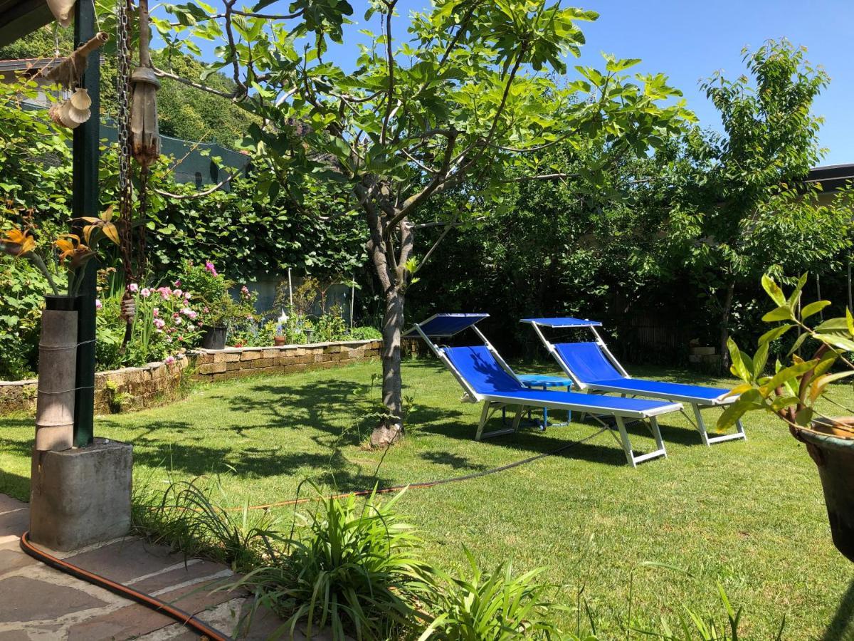 Clua Holiday House Porto Ceresio Exterior photo
